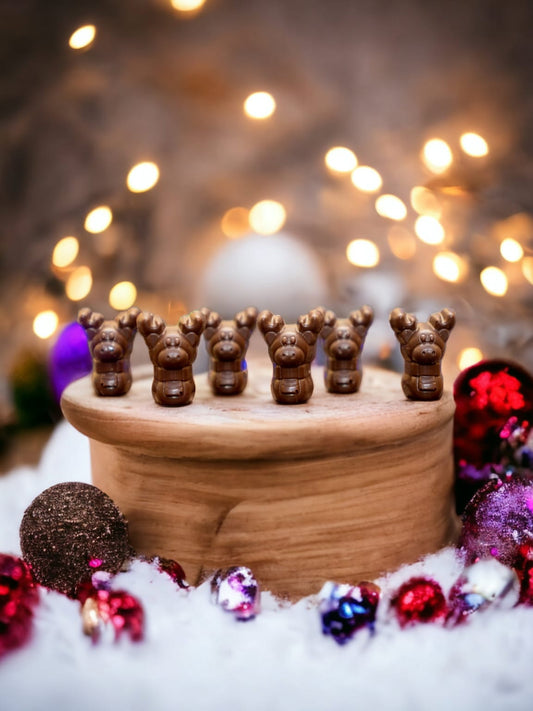 Chocolate Reindeer in a box